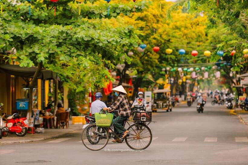 Hanoi City Half Day - The City Contains Cultural Beauty - One Pillar Pagoda and Temple of Literature: Faith and Learning in the Same Breath