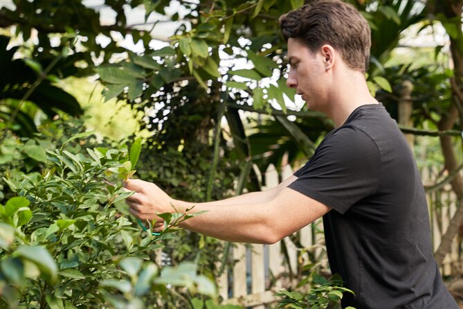 Hanoi Cooking Class in a Haven of Tranquility - Thom culinary - Harvesting herbs, exotic fruit, and learning what to use and why