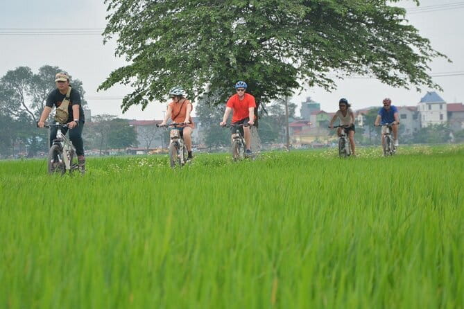 Hanoi Countryside By Bike & Local House and Food Tasting - Key highlights you’ll feel right away