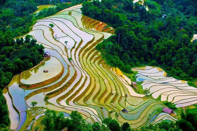 Hanoi Countryside By Bike & Local House and Food Tasting - Hanoi food tasting: bun cha or pho cuon, plus tea breaks