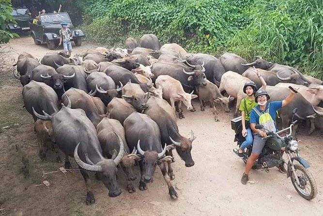 Hanoi Countryside Motorbike Tour: Red River Culture & Daily Life - Key highlights you will care about