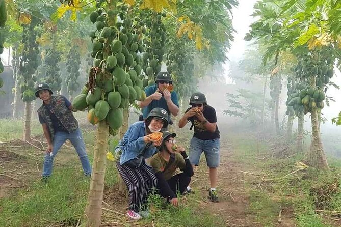Hanoi Countryside Motorbike Tour: Red River Culture & Daily Life - The city starter ride: Old Quarter to Long Bien to Gia Lam