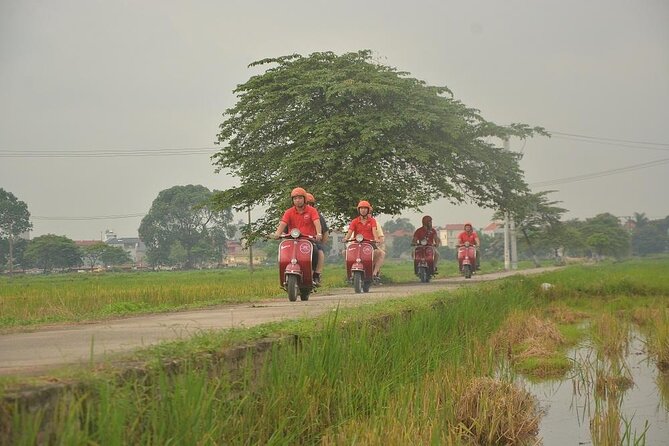 Hanoi Food Tours: Hanoi Foodie Scooter Tour Led By Women - The women-led part: why it matters on the ground