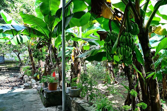 Hanoi Full Day A Private Tour With Mix of History and Activities - When this tour makes the most sense for you