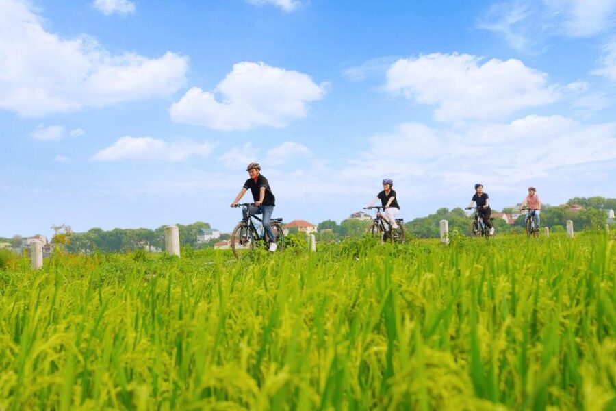 Hanoi: Guided Full-Day Hoa Lu, Trang An and Mua Cave Tour - Practical Tips so Your Day Feels Easy, Not Like a Sprint