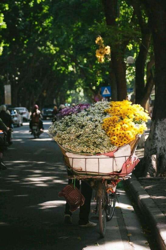 Hanoi: Half-day Private City Tour - How the Private 4-Hour Format Helps You Hit Hanoi’s Best Hits