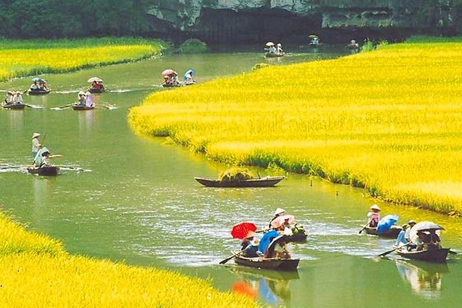 Hanoi - Hoa Lu - Tam Coc - Mua Cave - 1 Day / By Luxury Limousine & Small Group - Price and Value: What $59 Buys You (And What It Does Not)
