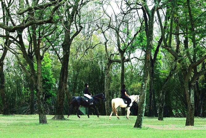 Hanoi Horseback Riding Club & Tours - Exclusive Experience - Key highlights to know before you go