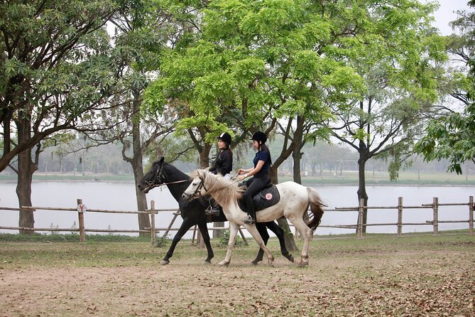 Hanoi Horseback Riding Club & Tours - Exclusive Experience - Gamuda Yen So Park: a park ride inside Hanoi