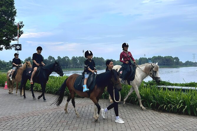 Hanoi Horseback Riding Club & Tours - Exclusive Experience - Safety gear and first-timer comfort that actually helps