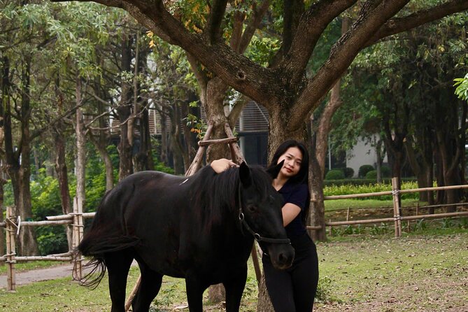 Hanoi Horseback Riding Club & Tours - Exclusive Experience - Who this Hanoi horseback riding tour fits best