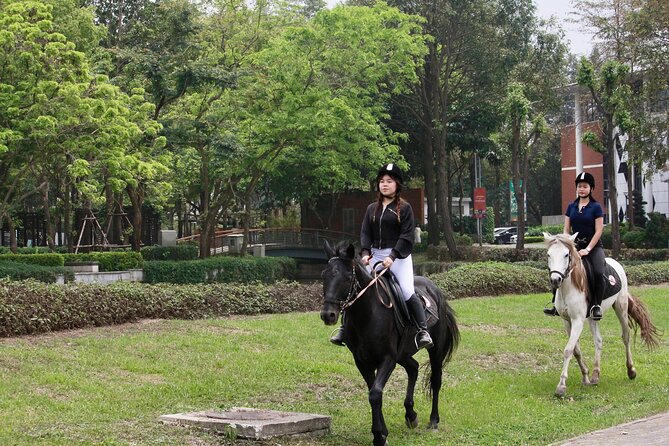 Hanoi Horseback Riding Club & Tours - Exclusive Experience - From greeting horses to the beginner trail: what the ride actually feels like