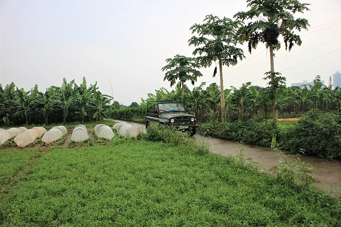 Hanoi Jeep Tours Led By Women: Hanoi Countryside By Legend Jeep - Stop 3: Hồ Trúc Bạch, lunch back in Hanoi, and egg coffee