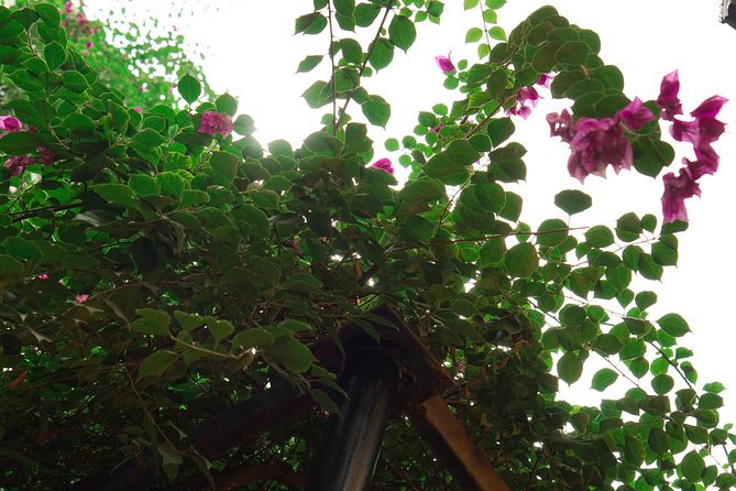 Hanoi Market & Villa Cooking Class: Free Old Quarter Transfer - Lunch or dinner, plus local drinks you should plan around