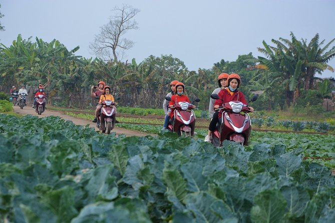 Hanoi Motorbike Tours Led By Women: Hanoi Outskirts & Rural Life - The Meet-Up, Pickup, and Your First 10 Minutes