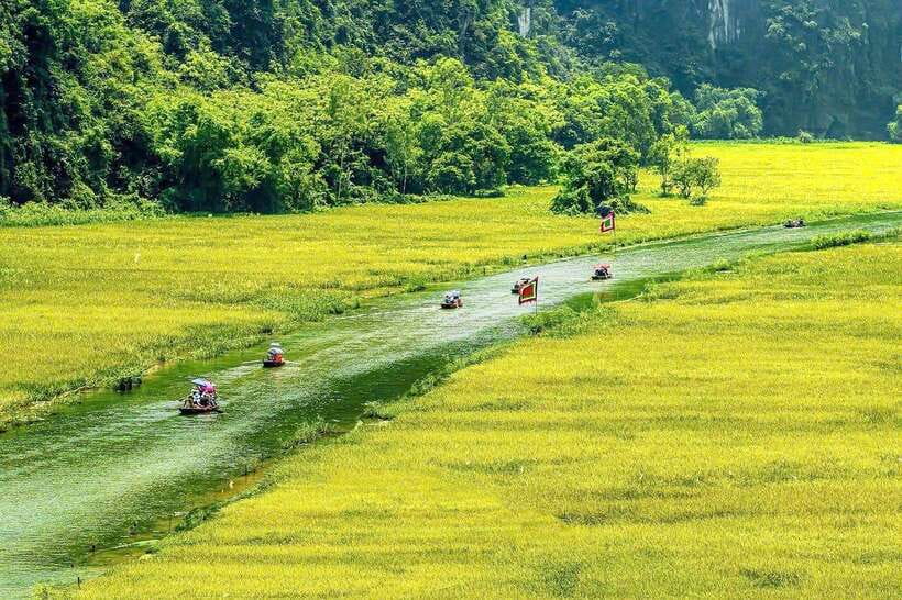 Hanoi: Ninh Binh, Tam Coc, Mua Cave & Hoa Lu with cycling - Hoa Lu Ancient Capital by Guidance, Then Cycling Activity