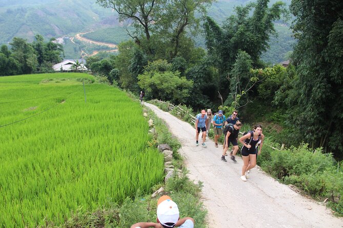 Hanoi - Sapa 2 Days 1 Night Overnight At Local Homestay - Day 2 morning trek to Giang Ta Chai, then Su Pan lunch