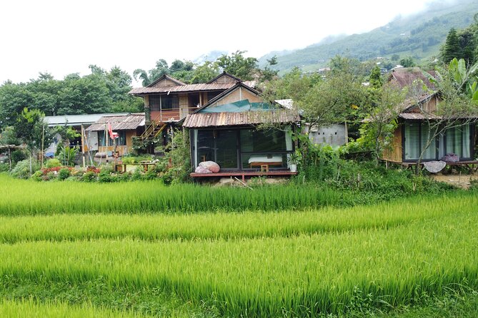 Hanoi - Sapa 2 Days 2 Nights With Fansipan by cable car - Day Two: Red Dao Villages, Breakfast at Homestay, and Another Trek