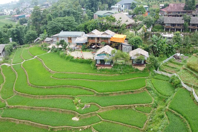 Hanoi - Sapa 3 Day 2 Night Trekking With Hotel & Homestay - Logistics that reduce stress, without taking away the adventure
