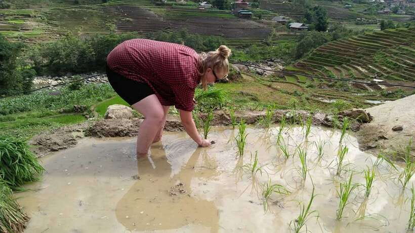 Hanoi- SaPa: 3-Day Homestay Trek to Explore Ethnic cultures - Day 1, Lao Chai Through Y Linh Ho to Ta Van (Hmong and Giay Country)