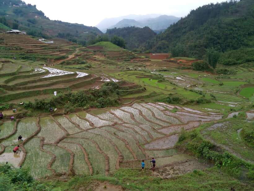 Hanoi- SaPa: 3-Day Homestay Trek to Explore Ethnic cultures - Day 3, Ban Ho Sunrise, Nam Tong Traditions, and the Return to Hanoi