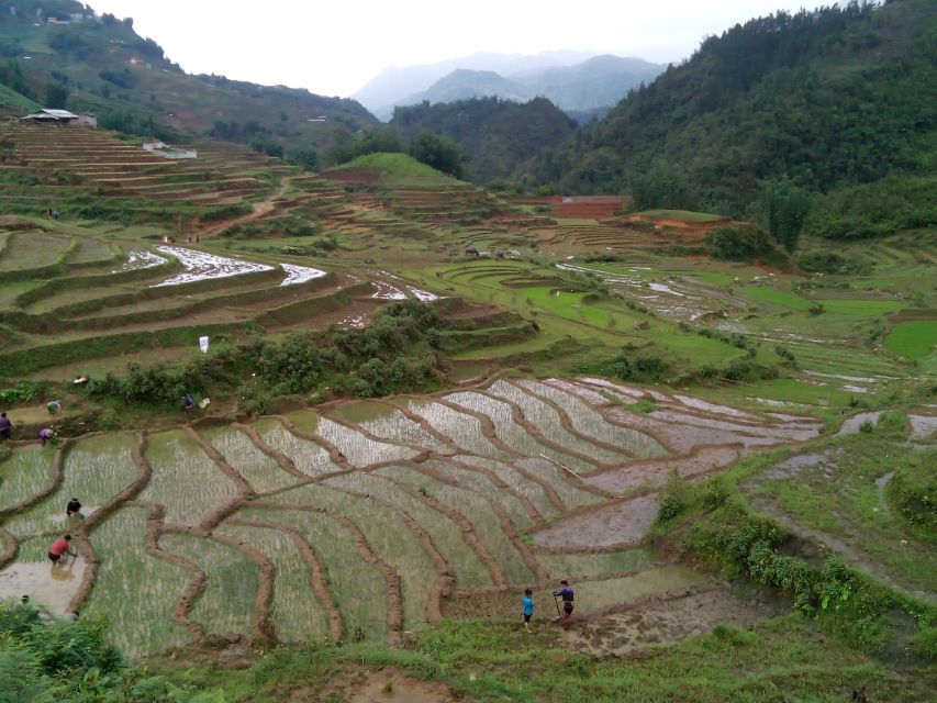 Hanoi- SaPa: 3-Day Homestay Trek to Explore Ethnic cultures - Homestays: What You’re Really Paying For