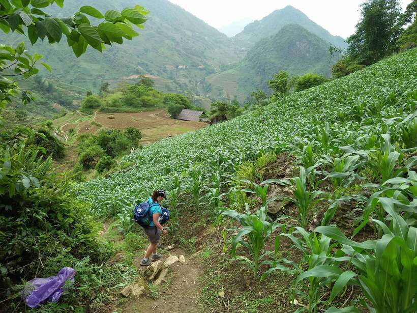 Hanoi- SaPa: 3-Day Homestay Trek to Explore Ethnic cultures - Price and Logistics: Does $139 Feel Fair?