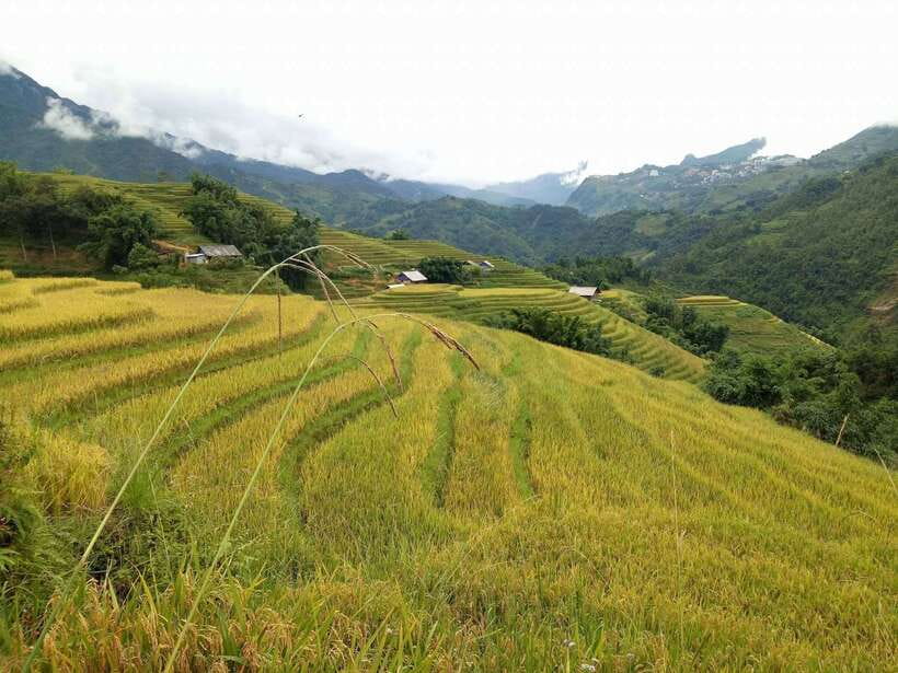 Hanoi- SaPa: 3-Day Homestay Trek to Explore Ethnic cultures - What to Pack for Cold Mornings and Muddy Paths