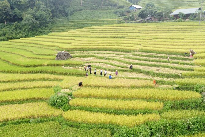 Hanoi - Sapa 3 Days - 2 Nights Trekking with With the locals - Key things I’d bookmark before you go