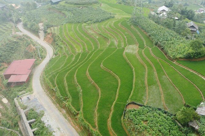 Hanoi - Sapa 3 Days - 2 Nights Trekking with With the locals - Hotel and homestay nights: what to expect, and what to verify