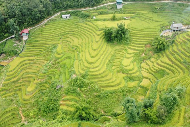 Hanoi - Sapa 3 Days - 2 Nights Trekking with With the locals - Y Linh Ho to Lao Chai: the ridge-and-rice-terrace feeling