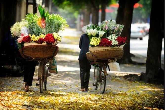 Hanoi street food tour (small group) - Lunch vs Dinner Slot: When the Old Quarter Feels Most Like Itself