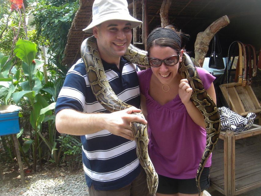HCM: Mekong Delta, My Tho & Ben Tre Coconut Village - Who This Mekong Delta Day Trip Is For