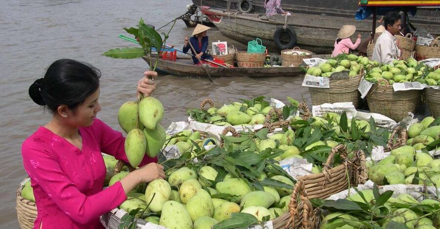 HCMC: Cai Rang Floating Market & Mekong Delta Private Tour - From Cai Rang to My Tho: islands on a classic Mekong cruise