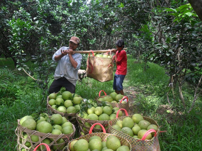 HCMC: Cai Rang Floating Market & Mekong Delta Private Tour - Bee farm stop, honey tea, fruits, and music from the village