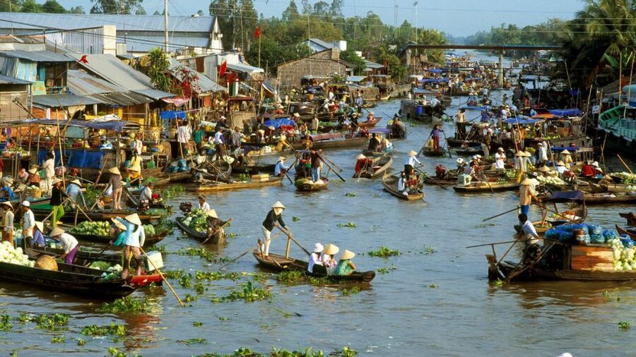 HCMC: Cai Rang Floating Market & Mekong Delta Private Tour - Who this private Mekong Delta day trip is best for