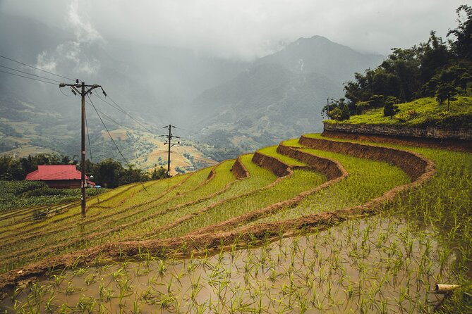 Highland Harmony Trek in Sapa - Key Highlights You’ll Actually Notice