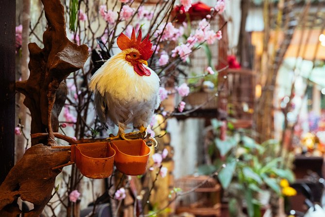 Highlights & Hidden Gems With Locals: Best of Hanoi Private Tour - Bach Ma Temple and Hang Bac Temple, short stops with big meaning