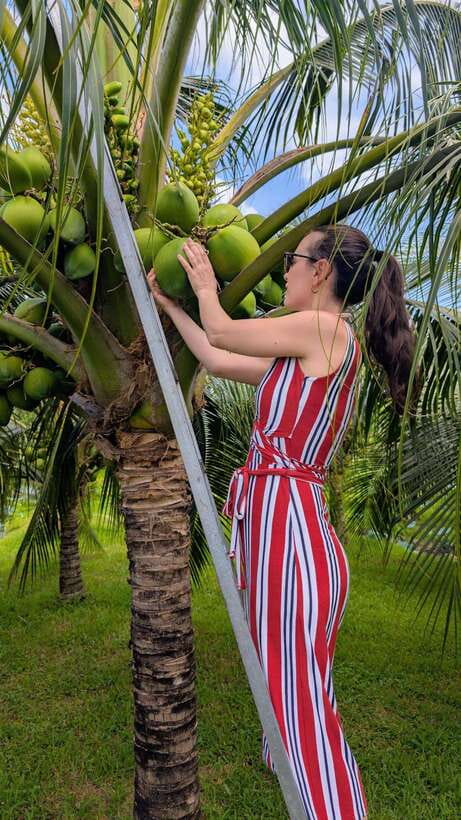 Ho Chi Minh: 1-Day Mekong Delta Tour-Floating Market & Islet - Time, Comfort, and What to Bring for a Hot Day on the Water