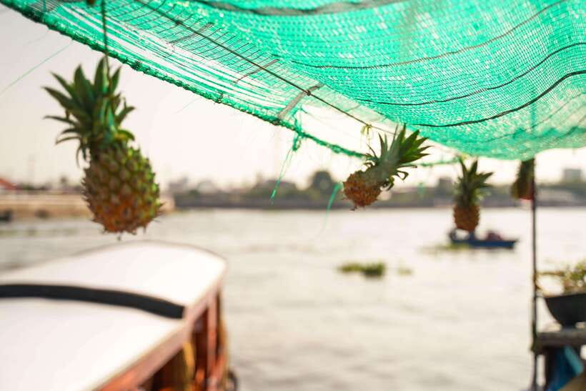 Ho Chi Minh: 3-Day Mekong Delta & Optional Exit to PhnomPenh - What to Watch For: Sun, Shoes, Pagoda Dress Rules, and Hotel Reality