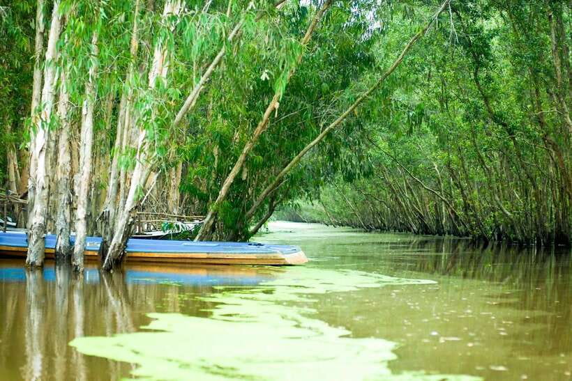 Ho Chi Minh: 3-Day Mekong Delta & Optional Exit to PhnomPenh - The Guide Factor: Small Group Energy and Real Explanations