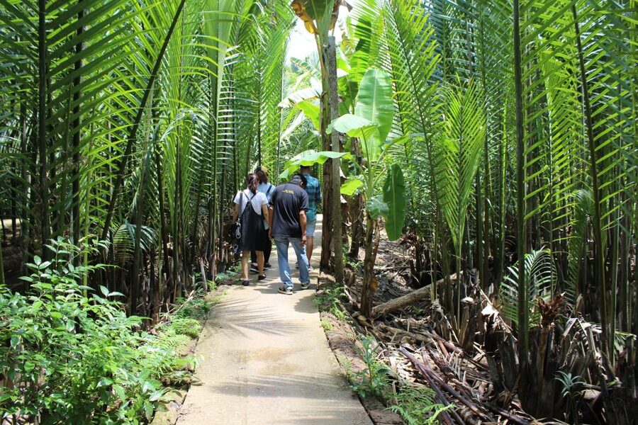 Ho Chi Minh City: Discover Mekong Delta & Coconut Village - The road to the delta: air-conditioned comfort, long-but-manageable