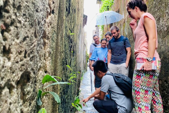 Hoi An Ancient Town Walking Tour with a Local - Pacing, weather, and the practical stuff that makes or breaks it