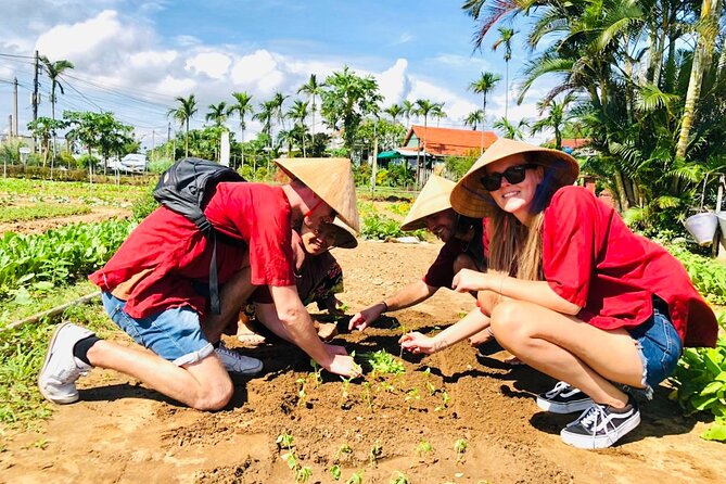 Hoi An bicycle tour to beautiful countryside - Along the way: rice fields, wildlife, and local life at bike speed