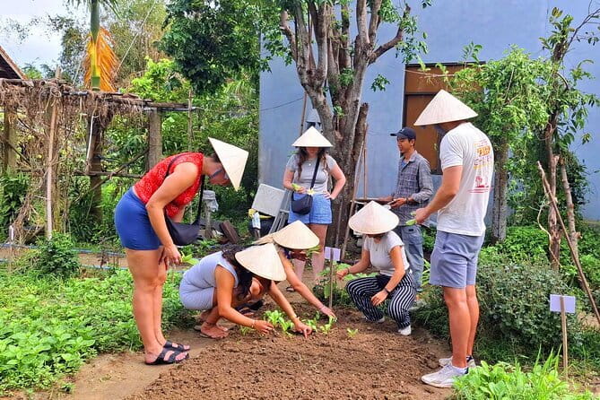 Hoi An Cooking Class & Vespa Cooking Adventure Tour - Lunch: eat your dishes plus extra Vietnamese favorites