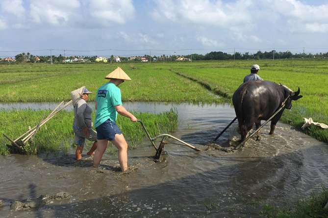 Hoi An Countrylife Tour Experience & Vietnamese Set Menu - Key highlights you will feel right away