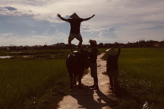 Hoi An Countrylife Tour Experience & Vietnamese Set Menu - Price and logistics: making sure the day fits your trip