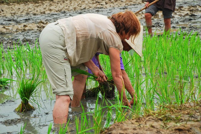 Hoi An Countrylife Tour Experience & Vietnamese Set Menu - FAQ