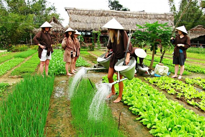 Hoi An Countrylife Tour Experience & Vietnamese Set Menu - Tra Que organic vegetable village: gardening steps you can do