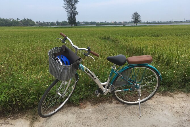 Hoi An countryside biking tour, water buffalo+ basket boat ride - Riding a Water Buffalo: The Fun Part, Plus the Safety Sense